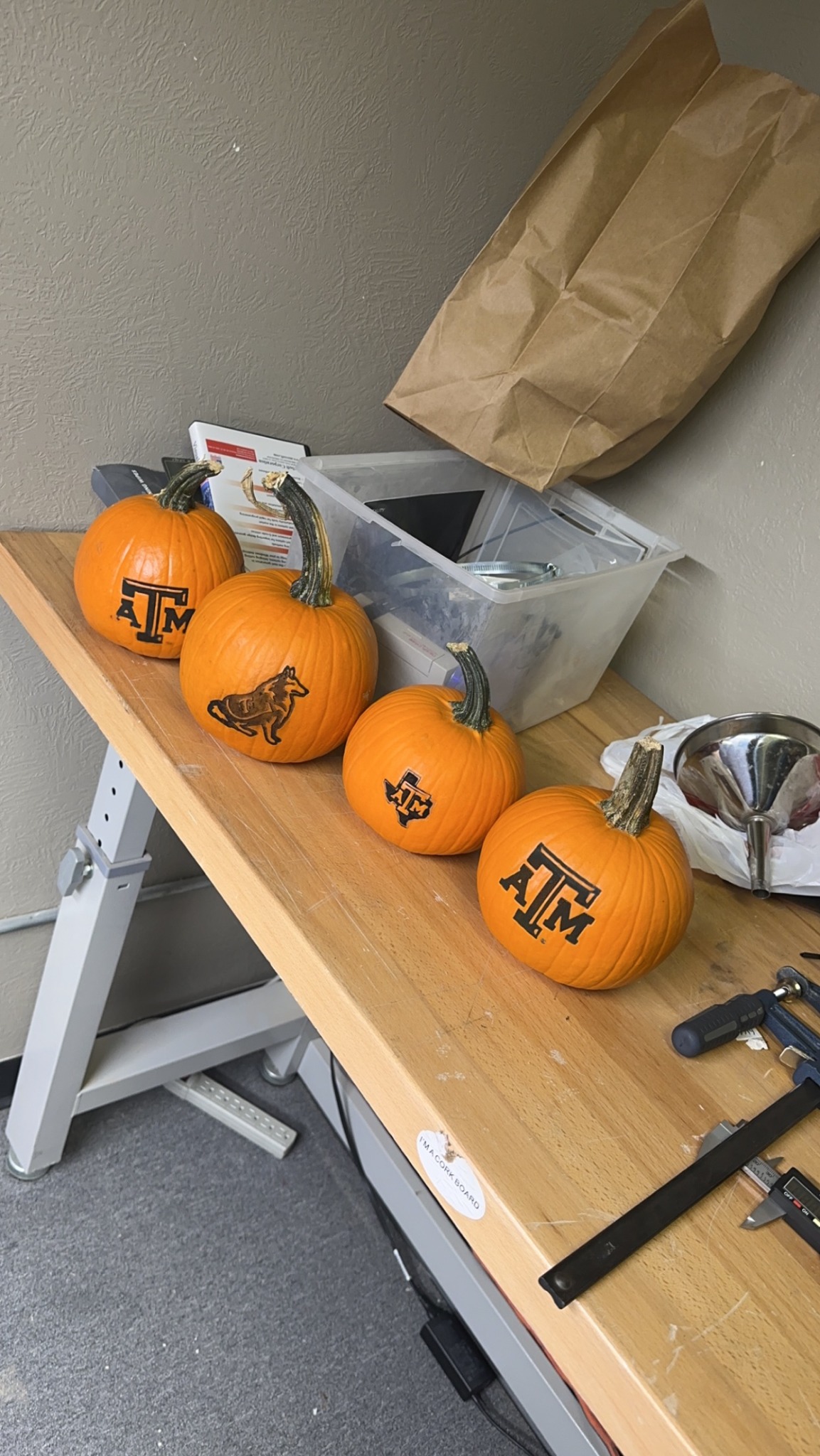 Laser engraved Texas A&M pumpkins
